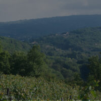 Senza-titolo-1
