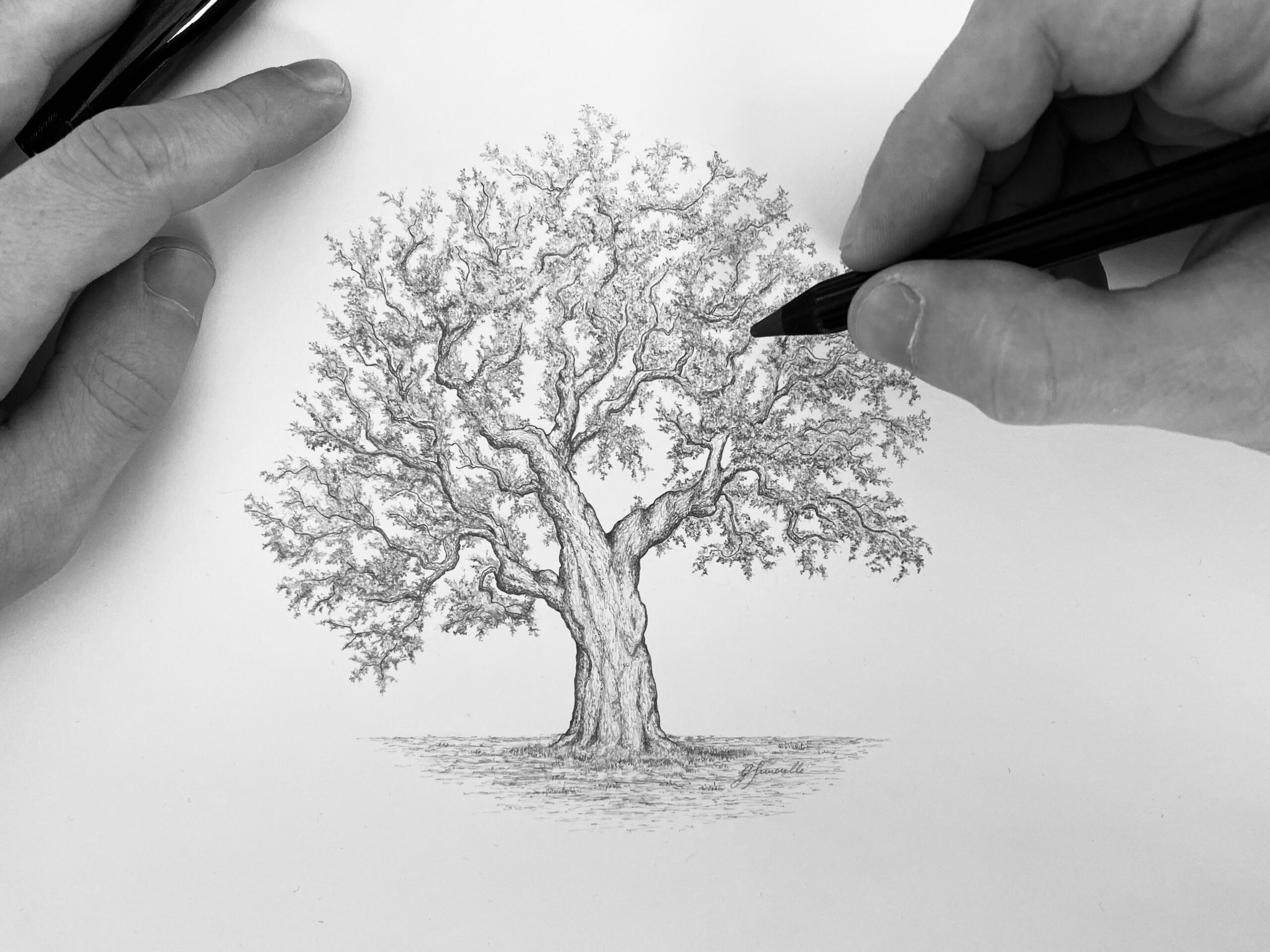 Image thumbnail
